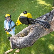 Best Arborist Consultation Services  in Honaker, VA